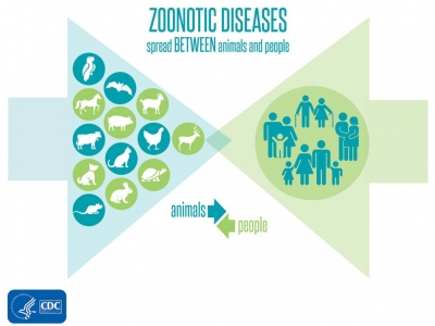 Zoonotic diseases around the corner